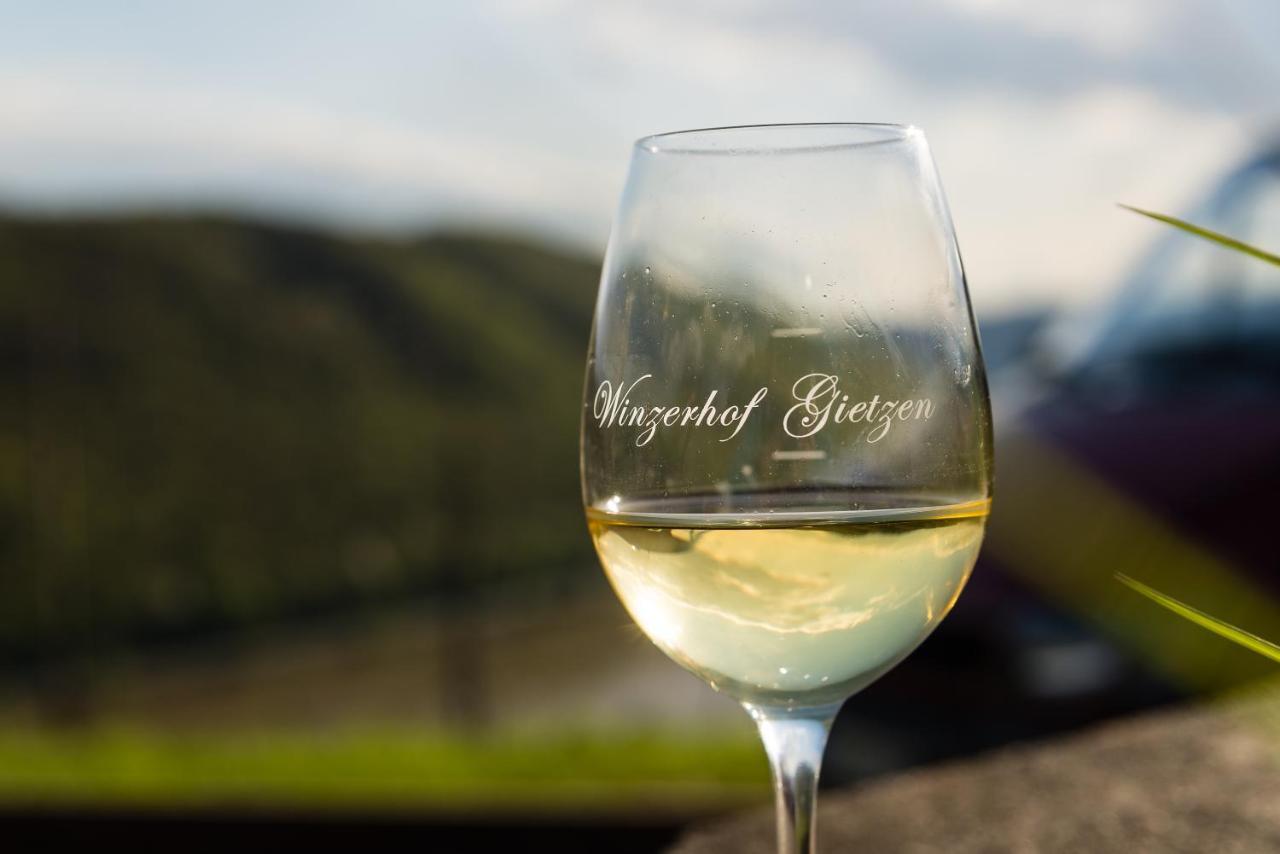 Winzerhof Gietzen Hotel Hatzenport Ngoại thất bức ảnh
